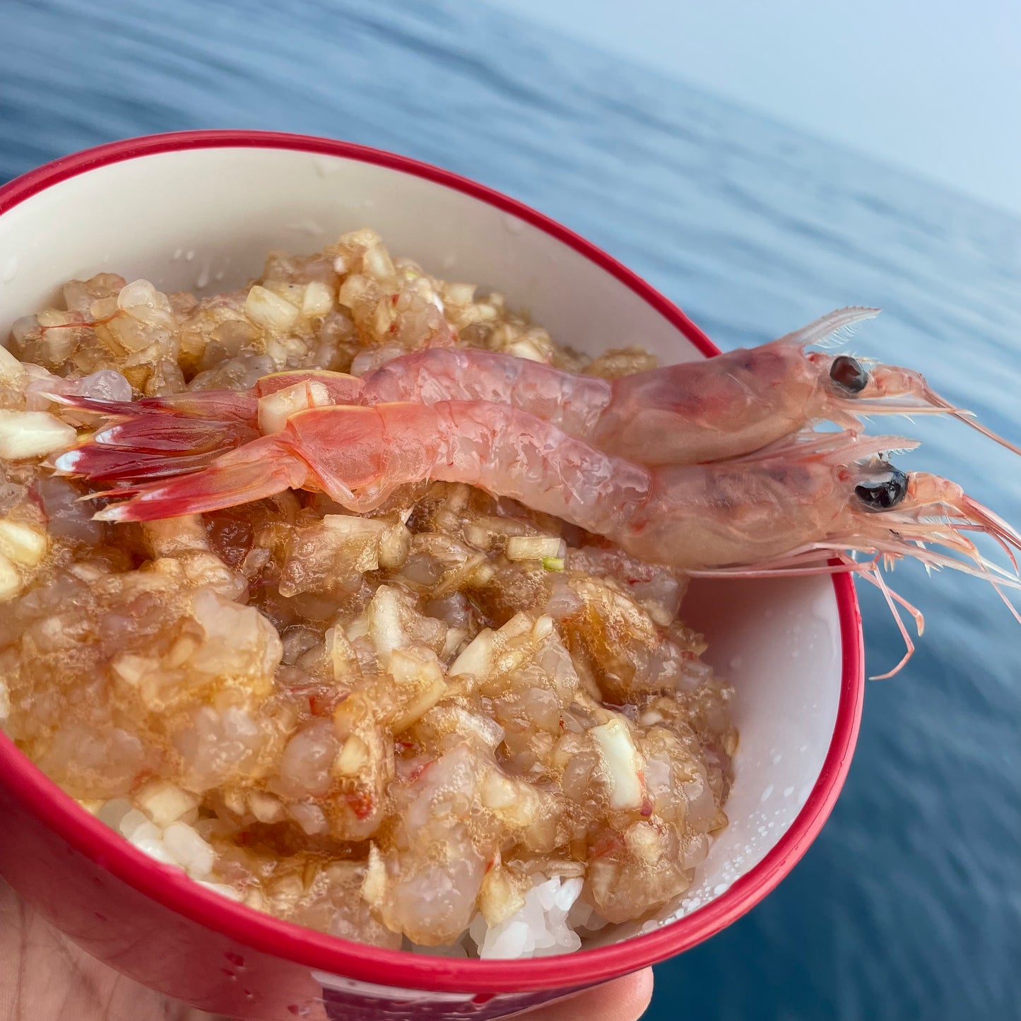 タカエビ　700g
